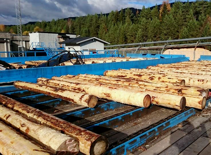 Debarked Logs